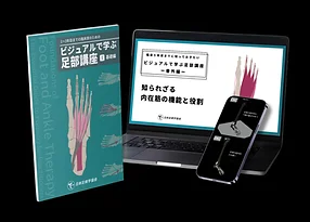 ビジュアルで学ぶ足部講座 Vol.1 基礎編
