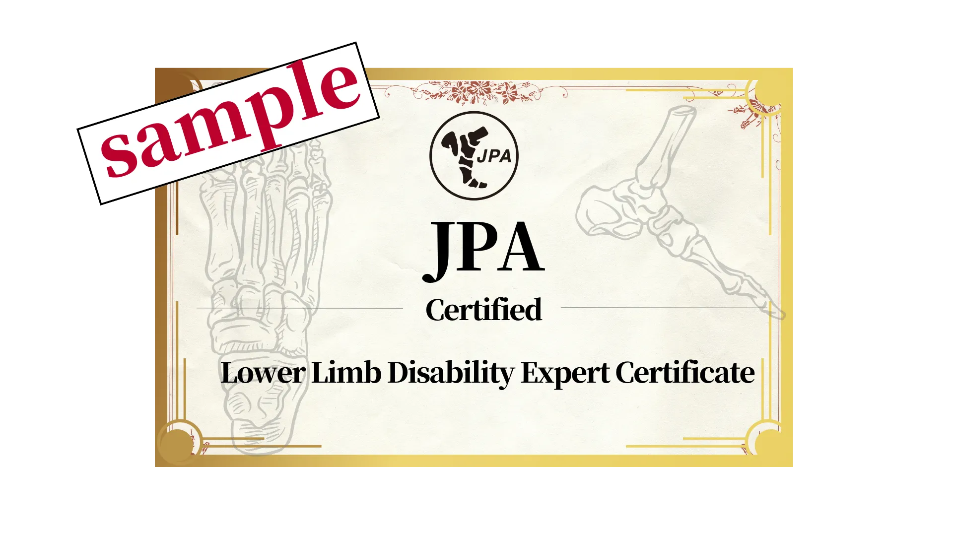 JPA認定 下肢障害治療スペシャリスト 認定証（サンプル）